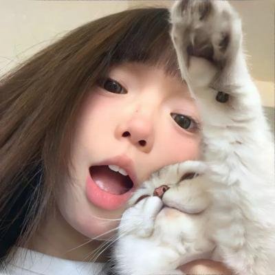 最佳伙伴