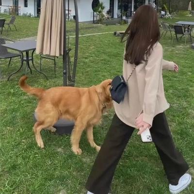 法式触摸2