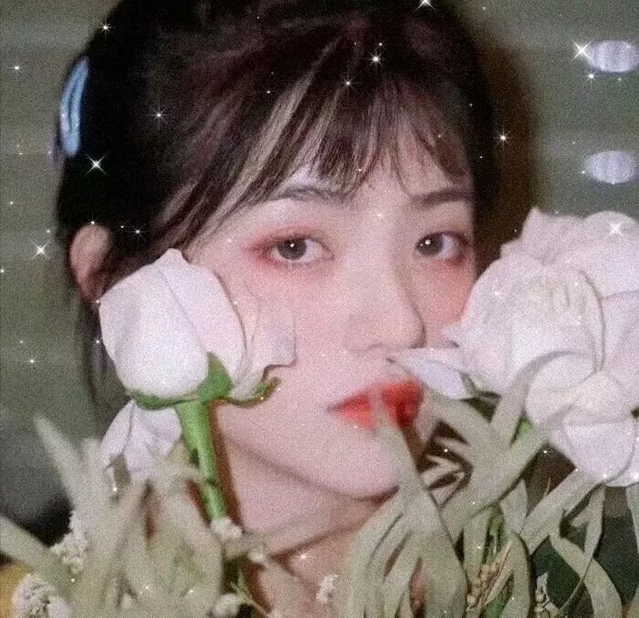 波诺：救赎之路